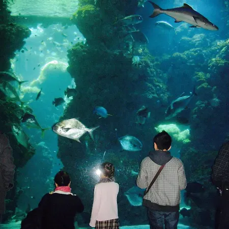 Centre 5 Minutes De La * Cannes