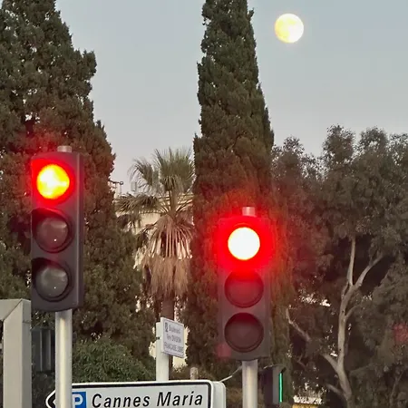 Centre 5 Minutes De La Cannes